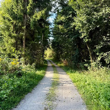 Mc Self Check-in Großes Mit Terrasse Eg D01 In Dobl Bei Graz Apartment Dietersdorf