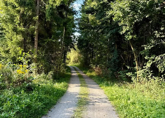 Mc Self Check-in Grosses Mit Terrasse Eg D01 In Dobl Bei Graz Apartman Dietersdorf